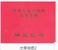 二十几位员工的毕业证被她丢了