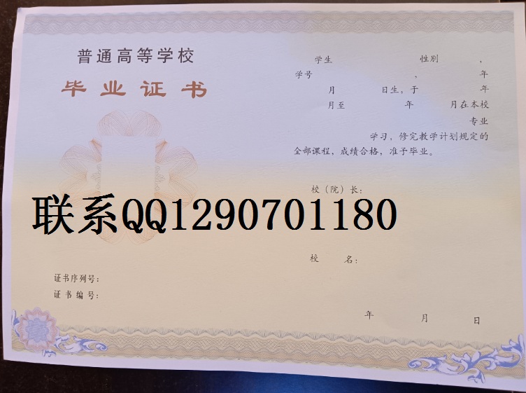 上海专版的大学毕业纸张